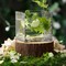 6 pcs 6-Inch tall Clear Glass Cube Vases Centerpieces